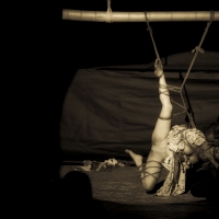 riccardo-et-ale-show-44