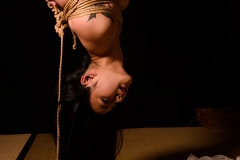 DSC_1303
