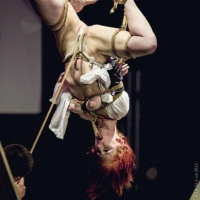 1044819_4264221822621_1794958782_n