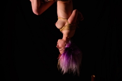 DSC_2419