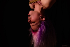 DSC_2460