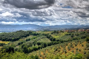 Panoramic-view-of-Montefalco.-Umbria-Italy